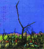 F.Pulacini - Inside Nature 22 F.Pulacini - Inside Nature 22