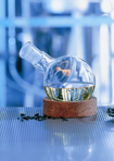 Die Basisöle der NATOIL-Fluide werden aus der High Oleic Sunflower (HOS) gewonnen. Die Basisöle der NATOIL-Fluide werden aus der High Oleic Sunflower (HOS) gewonnen.