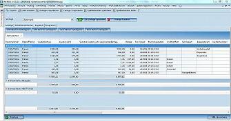 WERBAS Fuhrparkmanagement
