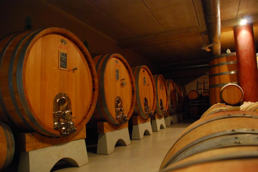 Weinfässer - Colline Novaresi - Copyright Maggioni Tourist Marketing Weinfässer - Colline Novaresi - Copyright Maggioni Tourist Marketing