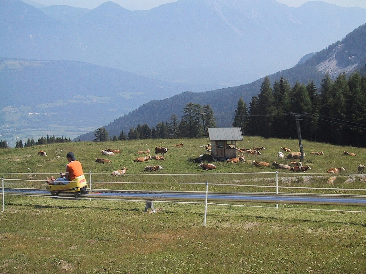 Beliebt: Sommerrodelbahn. Foto: naturarena.com Beliebt: Sommerrodelbahn. Foto: naturarena.com