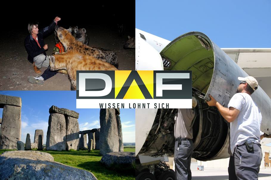 Die DAF-Highlights in der KW 39