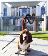Hundebuch und Stadtführer für Hunde 