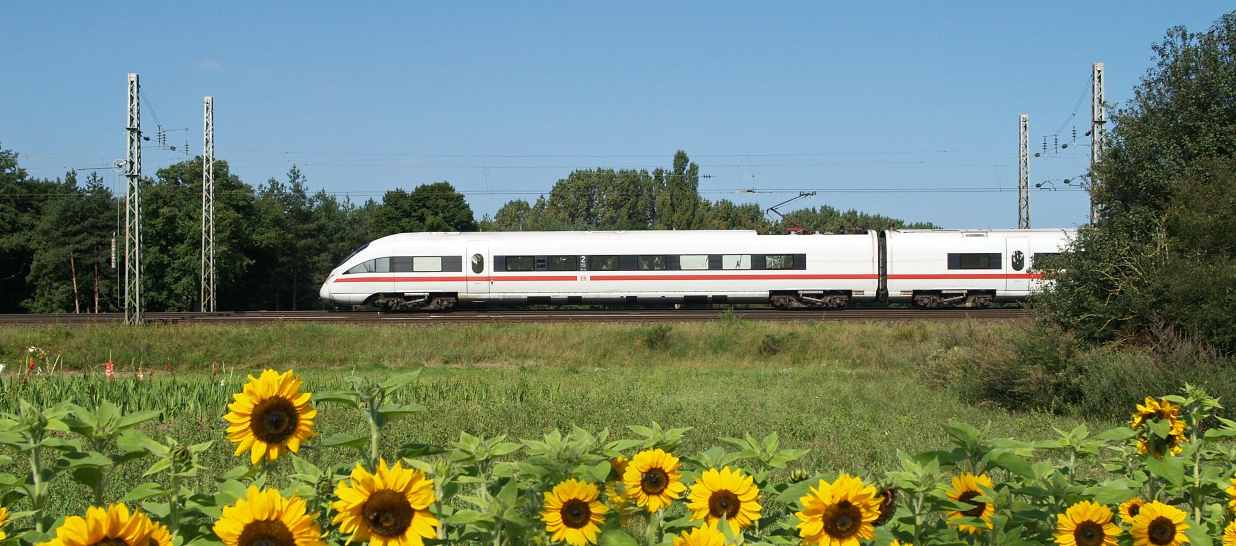 Die Bahn bringt die Besucher mit 100% Ökostrom zur SchülerAustausch-Messe (Foto: Deutsche Bahn AG) Die Bahn bringt die Besucher mit 100% Ökostrom zur SchülerAustausch-Messe (Foto: Deutsche Bahn AG)