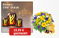 500 Runen geschenkt 500 Runen geschenkt