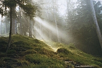 Wandern im Bayerischen Wald Wandern im Bayerischen Wald