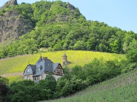 Ausgefallene Teambuildings im Weinberg oder auf dem Weingut