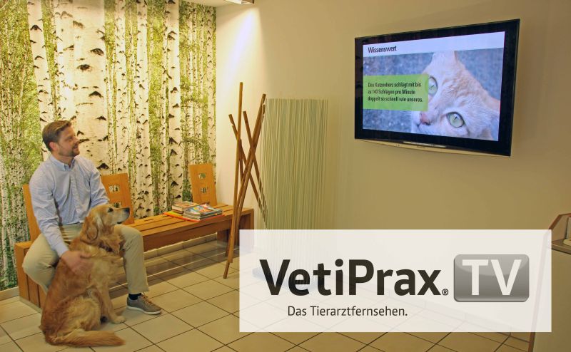 kompas im Einsatz: Digital Signage für attraktiveres Tierarzt-TV Foto: VetiPrax GmbH kompas im Einsatz: Digital Signage für attraktiveres Tierarzt-TV Foto: VetiPrax GmbH