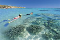Snorkelling at Ningaloo Reef ©Tourism Western Australia Snorkelling at Ningaloo Reef ©Tourism Western Australia