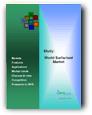 World Surfactant Market World Surfactant Market
