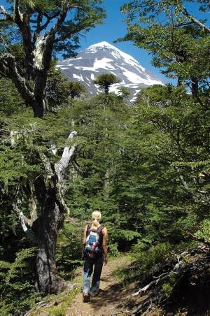 Wanderin in Chile Wanderin in Chile