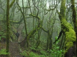 Wanderwege La Gomera Wanderwege La Gomera
