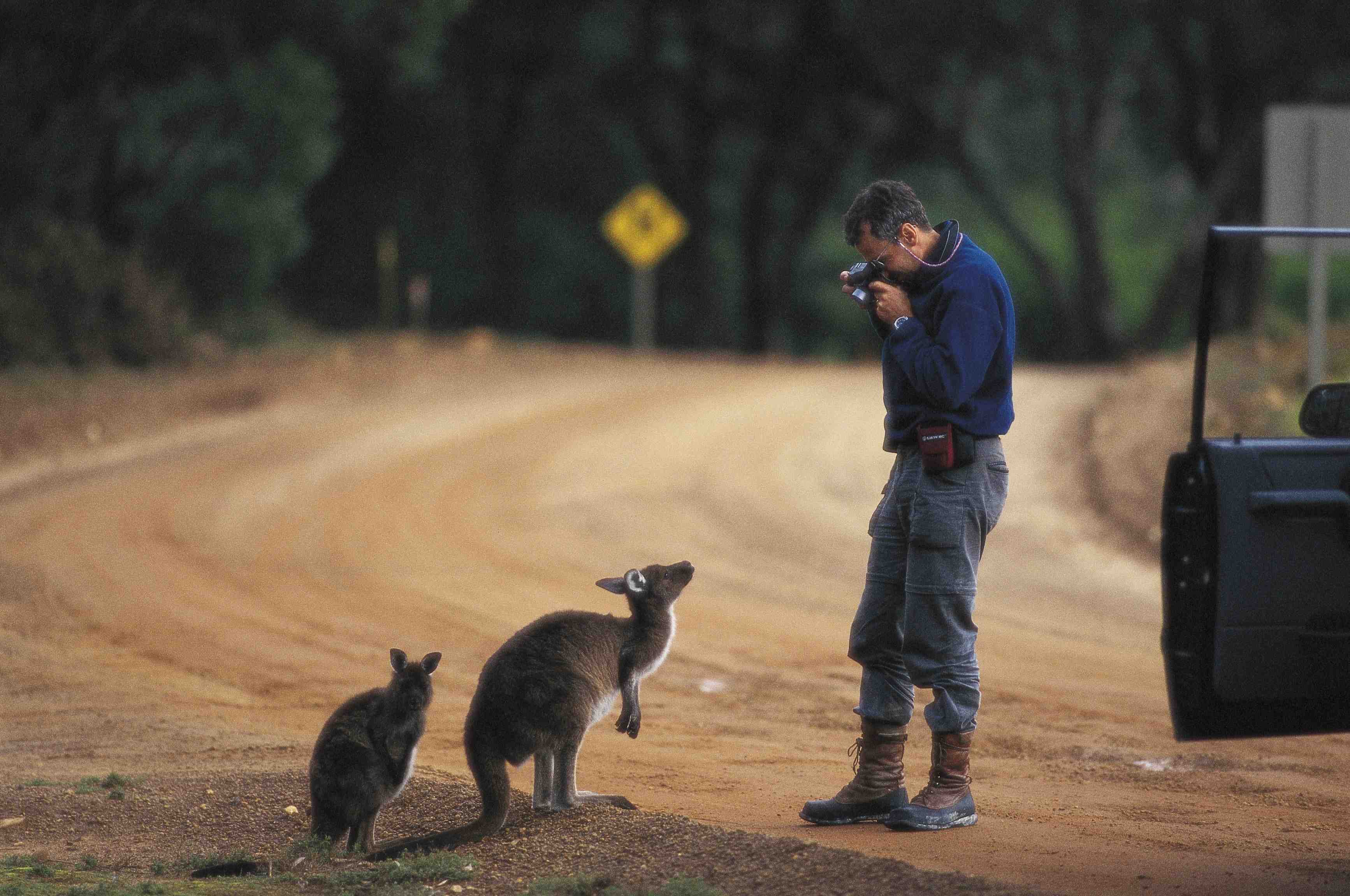 Die einzigartige Tierwelt Südaustraliens hautnah erleben