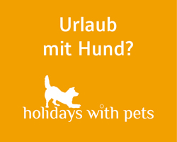 holidays with pets - Für einen entspannten Urlaub mit Hund