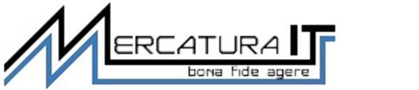 Seo agentur, SEO, Warenwirtschaftssystem, E-Commerce, IT Solution - Mercatura-IT - Logo