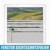 Sichtschutzfolie für Fenster mit einer Pusteblume als Motiv