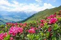 Wandern mit Karwendelblick: Kellerjochhütte über Schwaz Wandern mit Karwendelblick: Kellerjochhütte über Schwaz