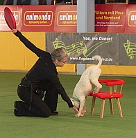 Dogdance Turnier Altrip 