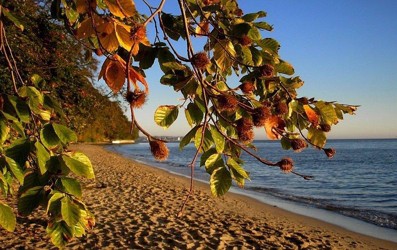 Polnische Ostsee im Herbst Polnische Ostsee im Herbst