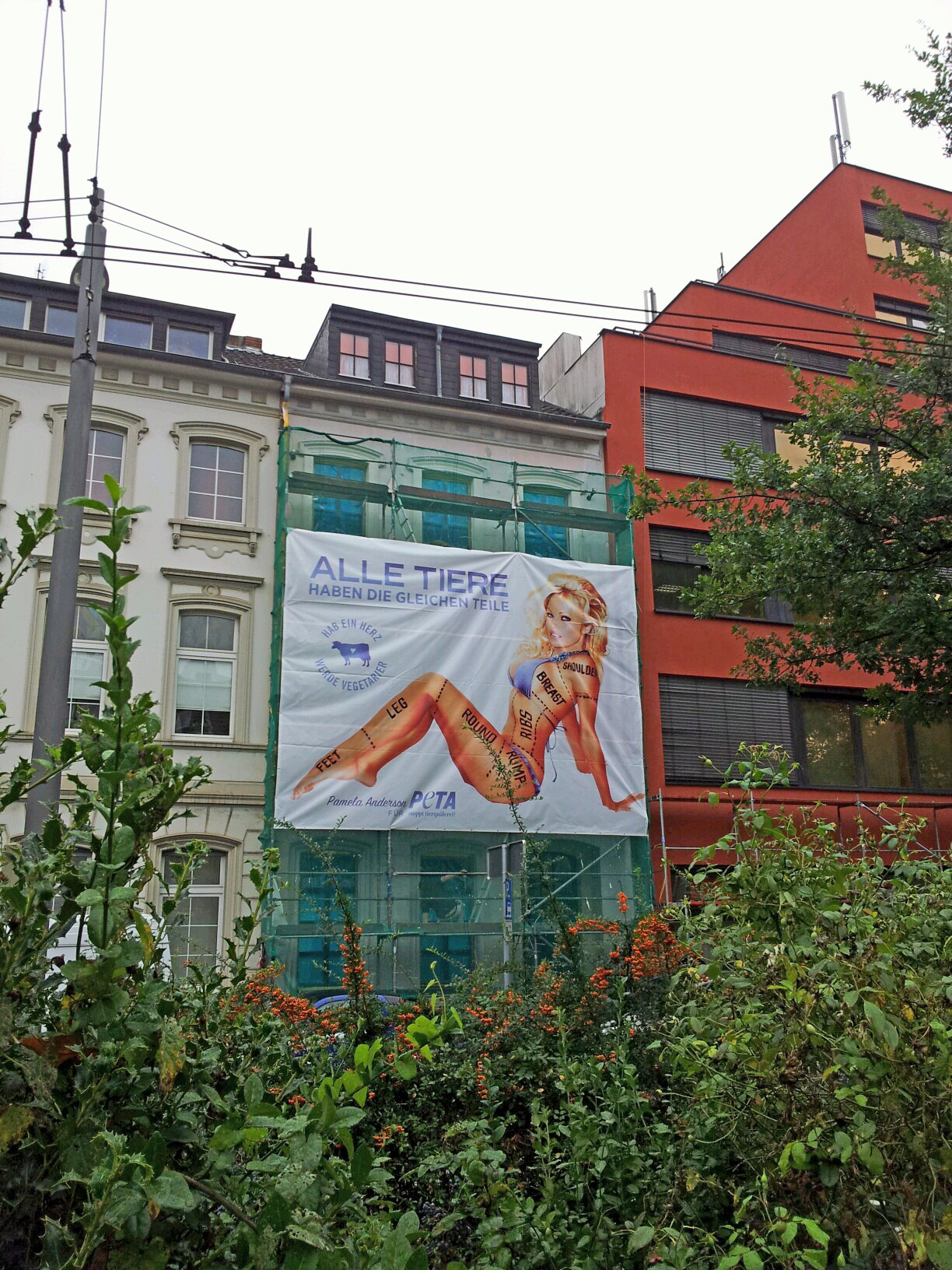 Fassade der Pamela Anderson-Aktion Fassade der Pamela Anderson-Aktion