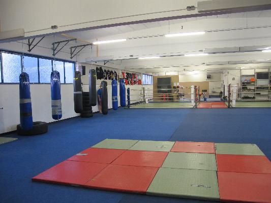 Personaltraining in der Kampfsportschule Koi-Gym Frankfurt Personaltraining in der Kampfsportschule Koi-Gym Frankfurt