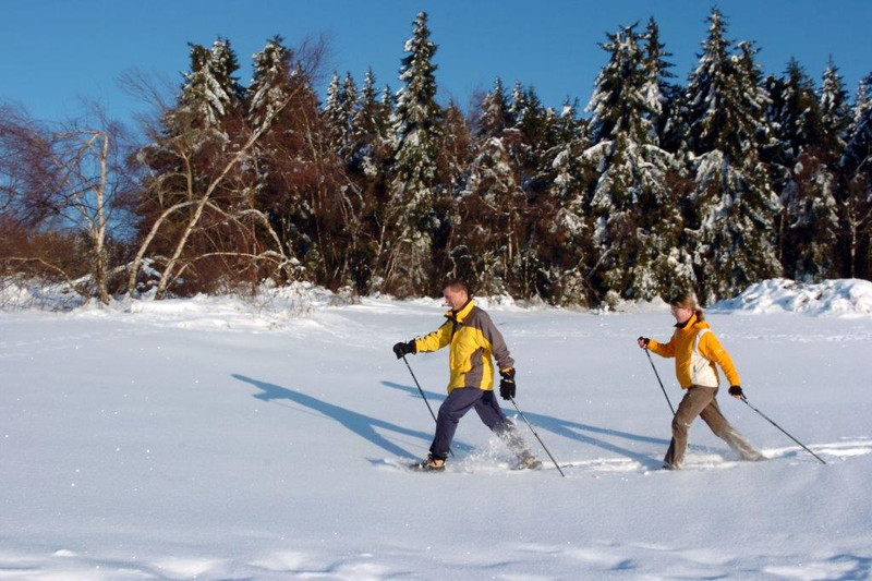 Eine Schneeschuhwanderung ist ein einzigartiges Erlebnis in der Natur. Foto: djd/St. Englmar