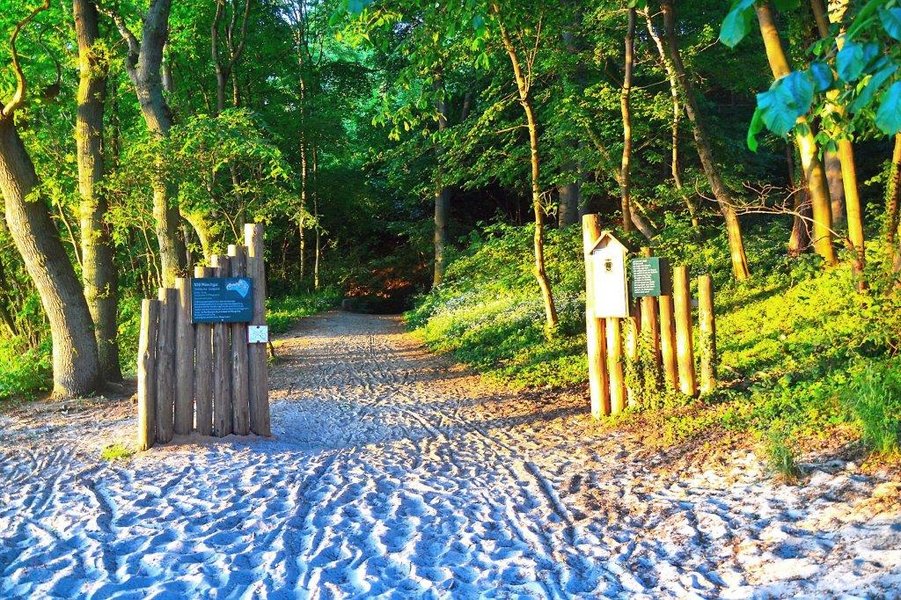 Auf Rügen warten auf Urlauber zahlreiche Ausflugsmöglichkeiten. Foto: djd/Seepark Sellin Ferienwohnu Auf Rügen warten auf Urlauber zahlreiche Ausflugsmöglichkeiten. Foto: djd/Seepark Sellin Ferienwohnu