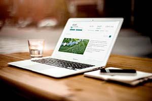 Schmuckstücke online kaufen Schmuckstücke online kaufen