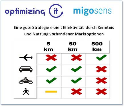 Strategieoptionen (Quelle: Optimizing IT, Michael Prinz) Strategieoptionen (Quelle: Optimizing IT, Michael Prinz)
