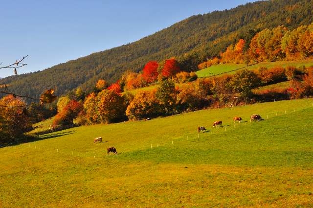 Der Herbst packt jetzt die schönsten Geschenke aus. Eine Reihe von herbstlichen Veranstaltungen begl