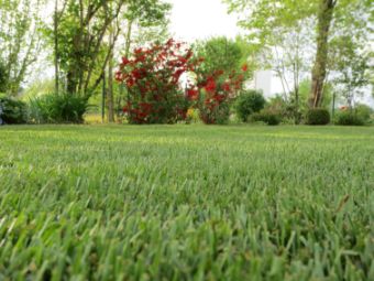 Schöner Rasen - Gartenpflege im Herbst