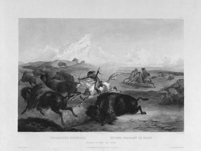 Indianer bei der Bisonjagd - Zeichnung von Karl Bodmer