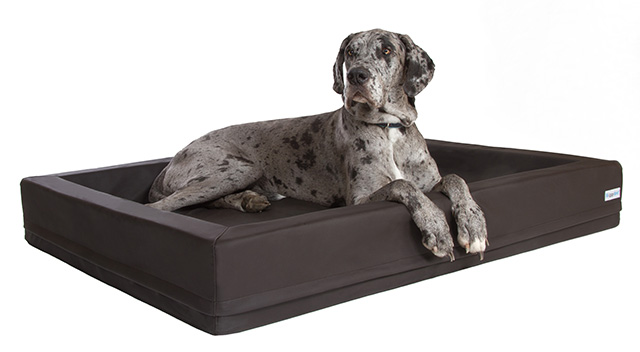 orthopädische Hundebett von Tierfreunde-Store orthopädische Hundebett von Tierfreunde-Store