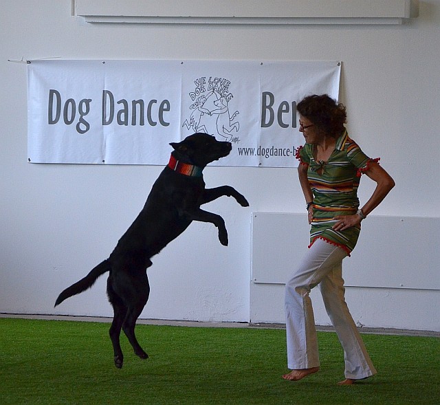 Petra Schmid / DogDance Bern