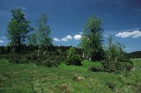 Urlaub in Niederbayern