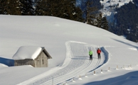 Loipenfieber in Balderschwang im Allgäu