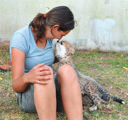 Arbeit im Tierpark/Frau küsst Leopardenbaby Arbeit im Tierpark/Frau küsst Leopardenbaby