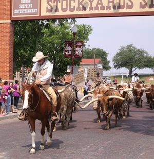 Mit-Pferden-reisen.de in Texas: Der alte Westen lebt