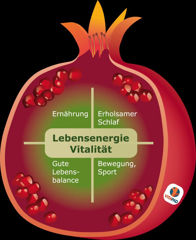 Das ganzheitliche Quadros-Coaching Das ganzheitliche Quadros-Coaching