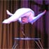 Irina, Akrobatin und Pole Dancerin im Studio für Schönheitstanz