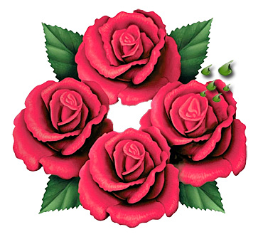 Four Roses Single Barrel Whisky bei Feine Tropfen Online Four Roses Single Barrel Whisky bei Feine Tropfen Online