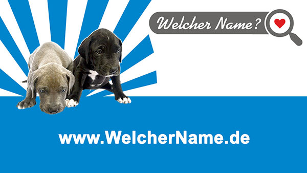 Hundenamen und Katzennamen werden menschlich.