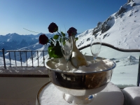 Detail Terrasse Wedelhütte