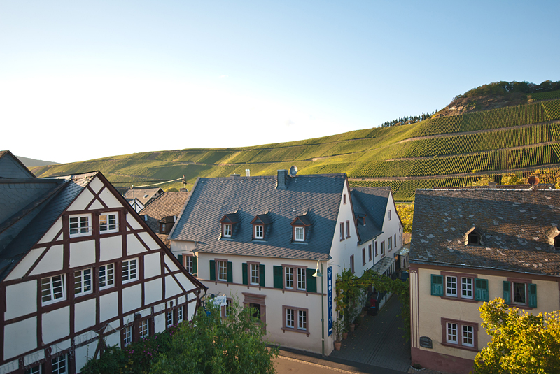 Blick vom Landidyll Hotel Brauneberger Hof auf die Weinberge