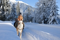 Ausritt im Schnee Ausritt im Schnee