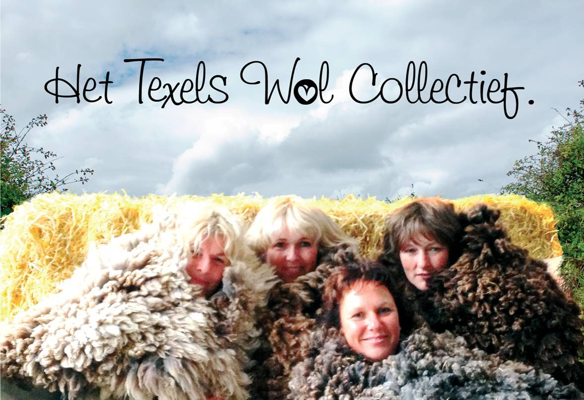 Texel Wollkollektiv