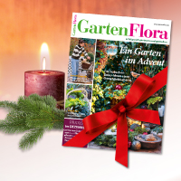 GartenFlora als Geschenkidee