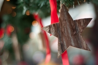 Weihnachtsstern Weihnachtsstern