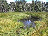 Hochmoor Gemeinde Sonnen Hochmoor Gemeinde Sonnen