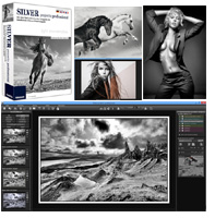 Siver projects professional Siver projects professional